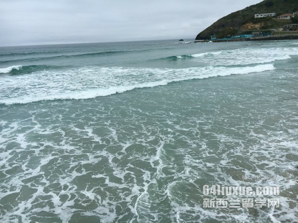 新西兰公私立预科全面对比 公立预科优势明显