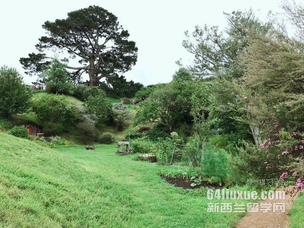新西兰留学 奥克兰7月的精彩活动介绍