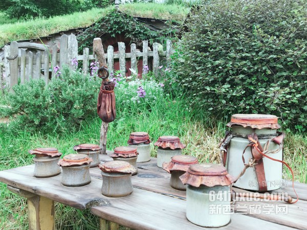 �����������д�ѧ