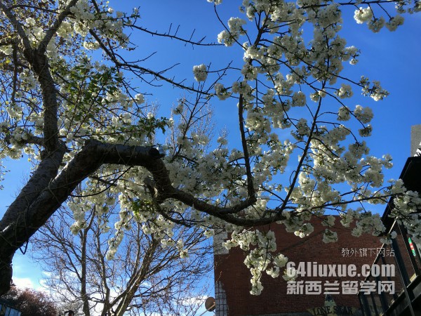 新西兰坎特伯雷大学