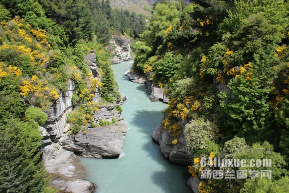 ���������������ѧԺ