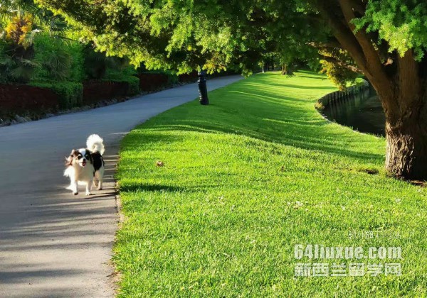 新西兰林肯大学