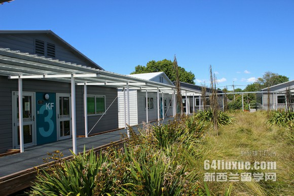 新西兰留学