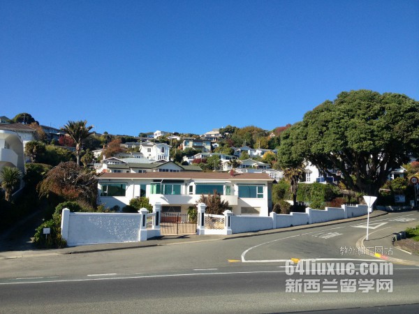 新西兰南方理工学院
