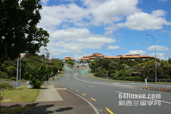 新西兰大学