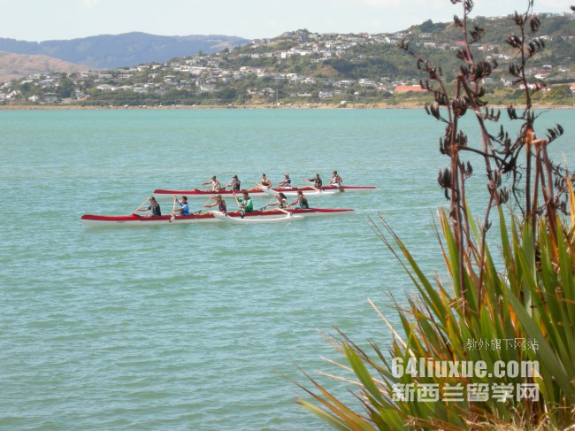 新西兰马努卡理工学院