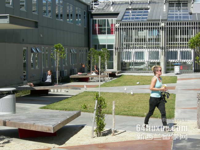 新西兰梅西大学课程