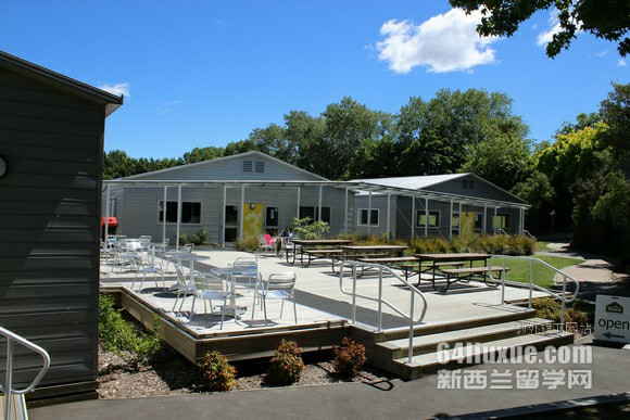 新西兰梅西大学本科