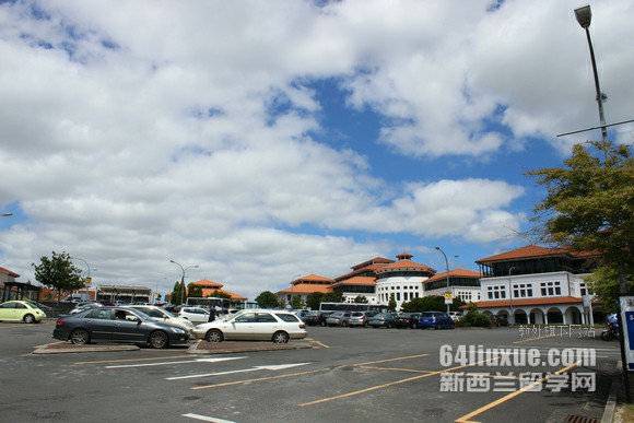 新西兰梅西大学课程设置