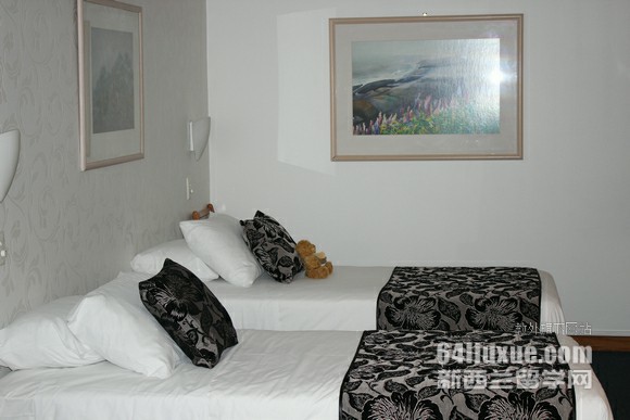 新西兰梅西大学商科课程