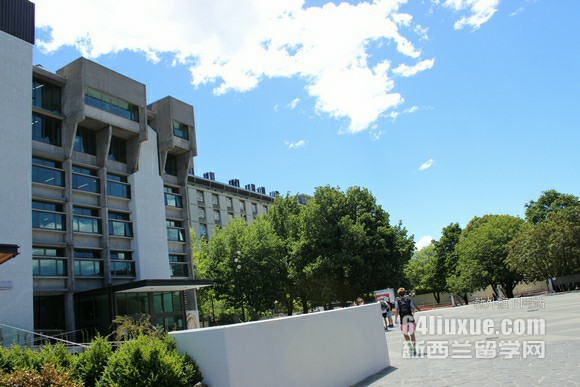 新西兰梅西大学本科