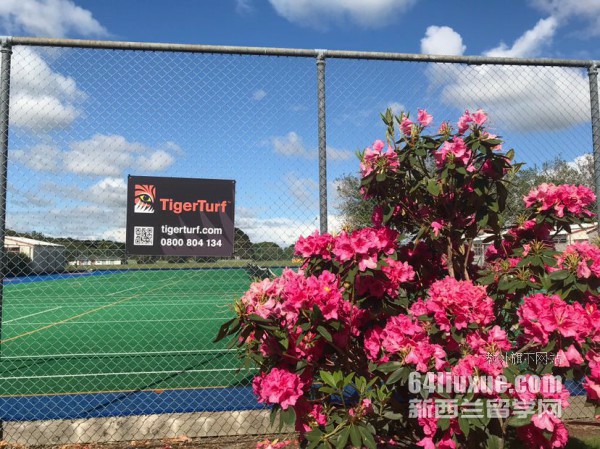 ������UCOL����ѧԺ��������רҵ