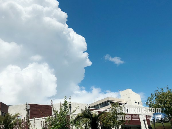 新西兰东部理工学院