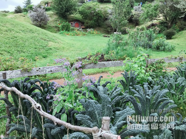 �������ֿϴ�ѧ�γ�����