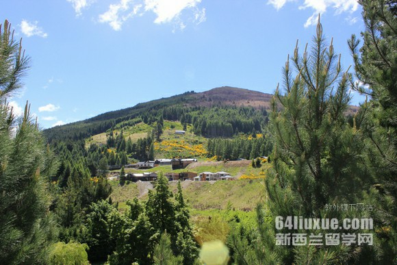 新西兰研究生申请条件要求