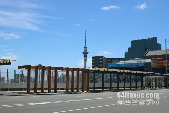 去新西兰留学文科生读硕士如何选专业