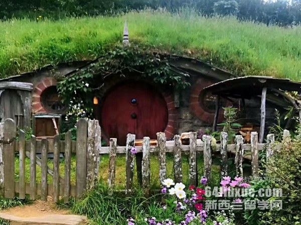 奥克兰大学和奥克兰理工大学学设计哪家好