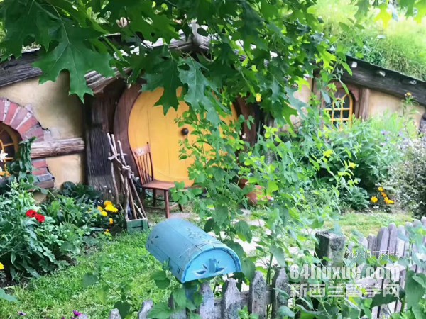 新西兰本科专业
