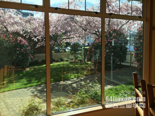 2016���������¿�����ѧ˶ʿ����