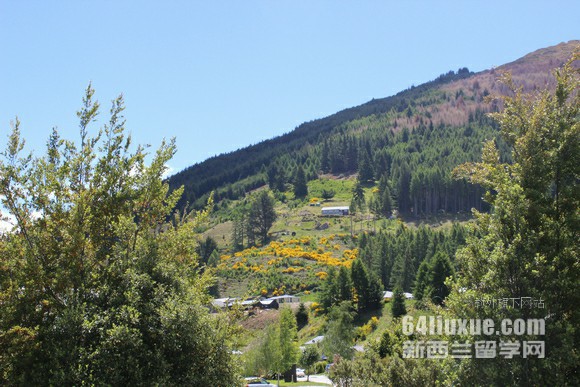 新西兰公立大学预科课程怎么安排
