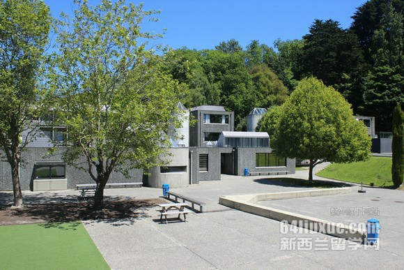 去新西兰读本科什么专业好