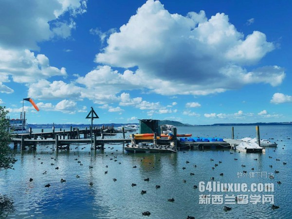 去新西兰奥克兰大学读研究生