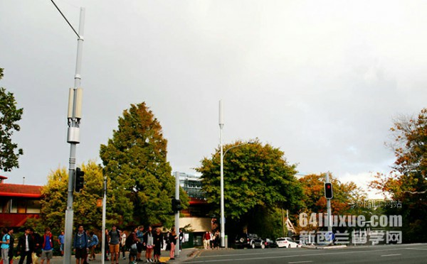 �����������д�ѧMBA�γ���ô��