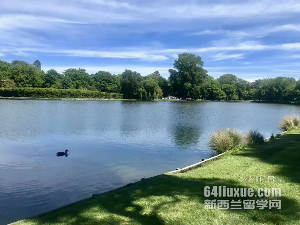 ������̩�յ�������ѧԺ�¿���У������Щרҵ�γ�