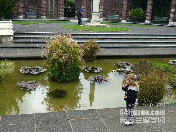 去新西兰留学怎么申请
