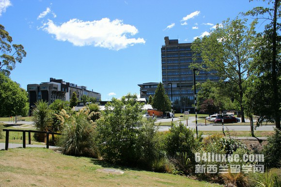 ���ز��״�ѧ��ľ����רҵ