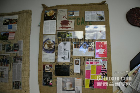 新西兰坎特伯雷大学什么专业好