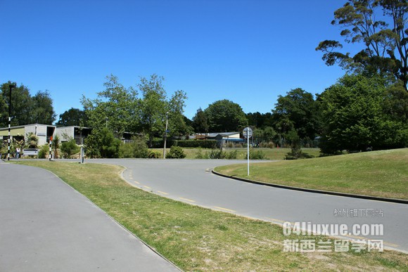 新西兰维多利亚大学护理专业