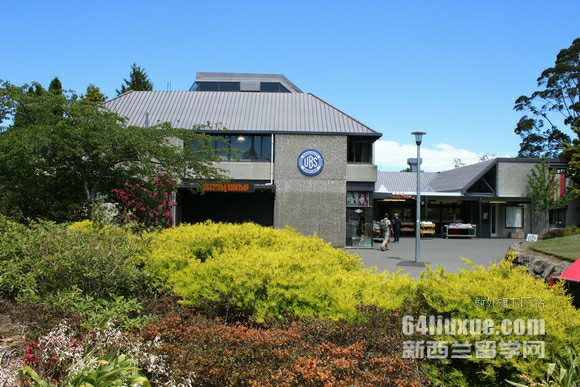 新西兰大学一年学费