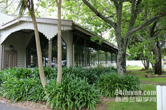 新西兰留学工程学校哪个好