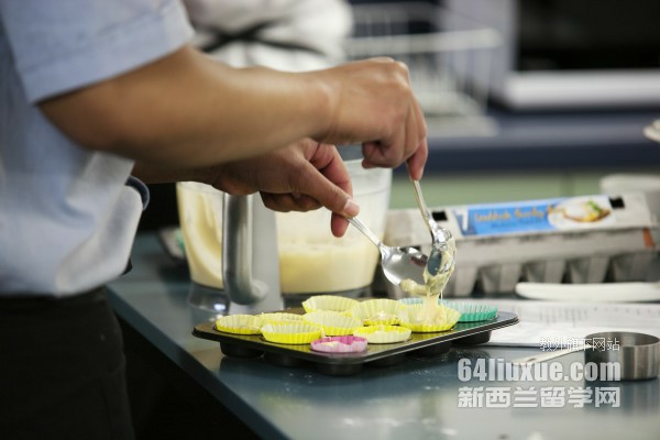 新西兰GD课程留学费用