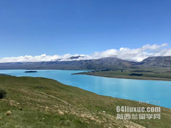 新西兰硕士什么专业好就业