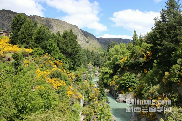 ������ά�����Ǵ�ѧҪ������