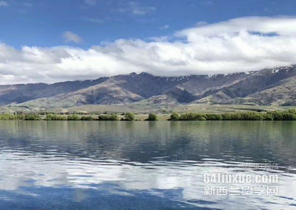 �����д�ѧ�о����γ�����Щ