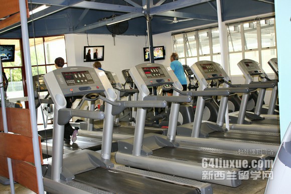 到新西兰留学的费用是多少
