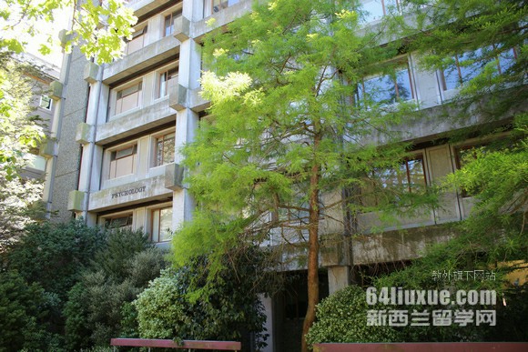 本科新西兰留学费用