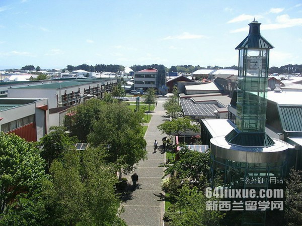 新西兰公立大学排名是怎样的