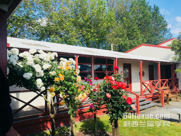 新西兰公立大学排名是怎样的