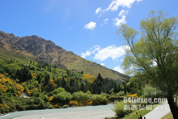 ����������������ѧԺרҵ����Щ