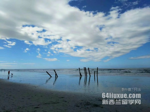 ������Unitec����ѧԺ���Ʒ���