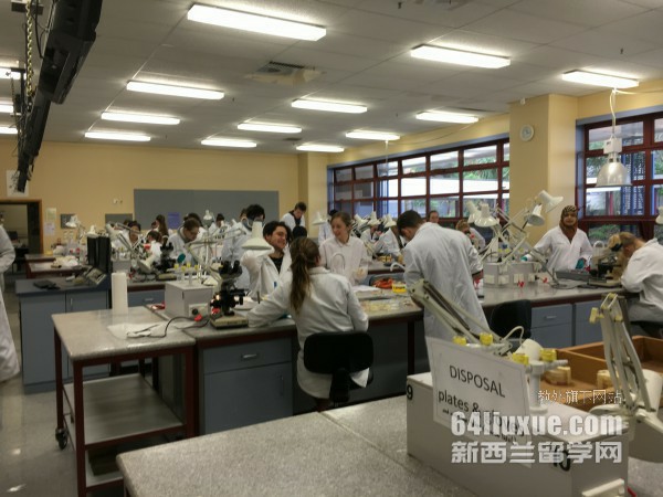 高中如何申请怀卡托大学