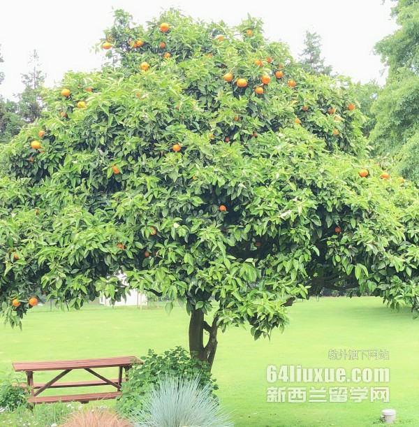 ������ά����������ѧԺ�����������Щ