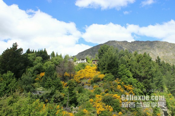 新西兰留学计算机专业哪个学校好
