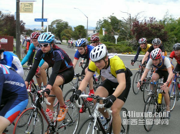 新西兰林肯大学gd课程