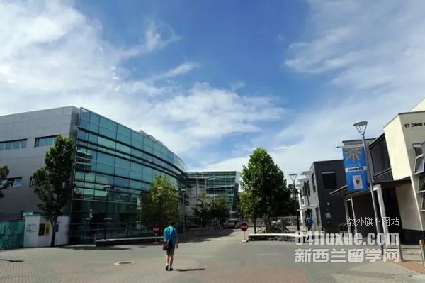 新西兰读研it专业好不好
