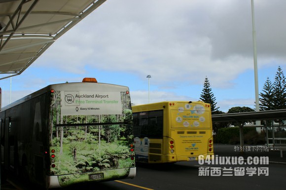 新西兰医学专业哪个学校好